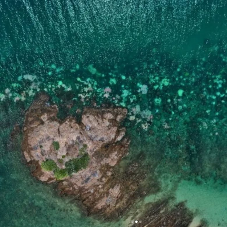 Aerial view of a coral reef